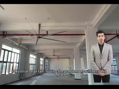 5.0M 16FT Fan lớn cho lưu thông không khí tối ưu trong trường học và phòng tập thể dục