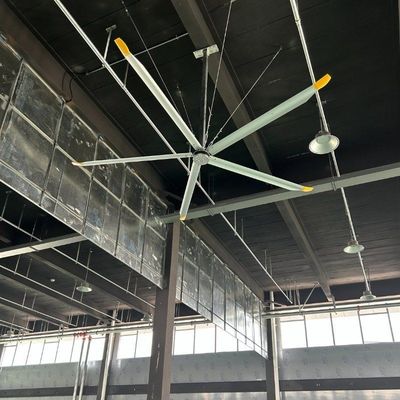 Giá tốt. Đồng nhôm magiê DX / DS Hvls Quạt trần khổng lồ với 6 lưỡi dao tùy chỉnh trực tuyến