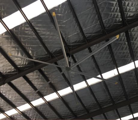 Giá tốt. 50RPM Hvls Quạt trần công nghiệp trực tuyến